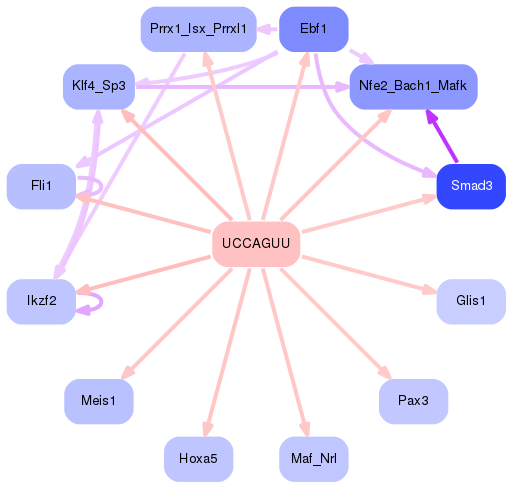 PNG image of the network