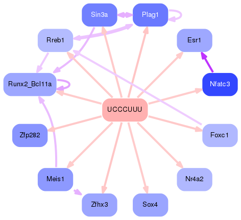 PNG image of the network