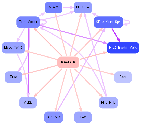 PNG image of the network