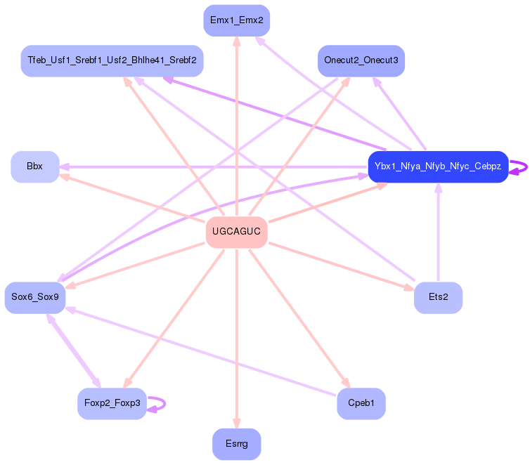 PNG image of the network