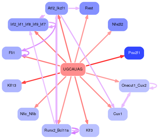 PNG image of the network