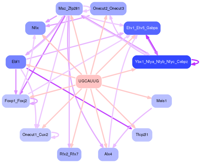 PNG image of the network