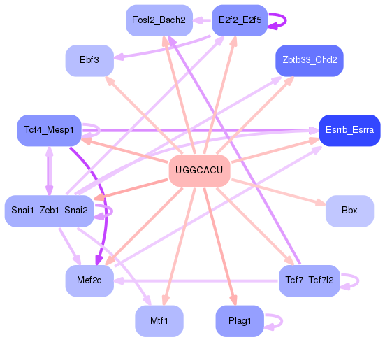 PNG image of the network