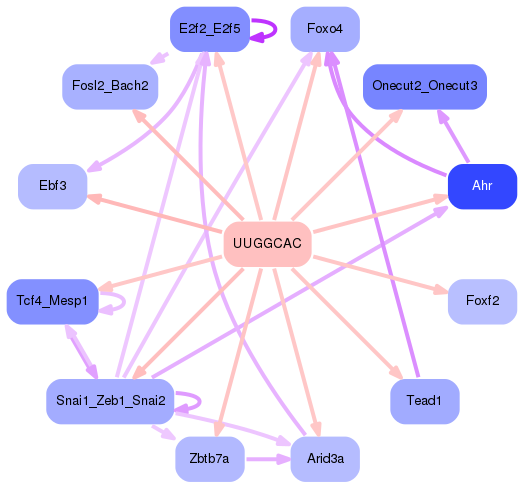 PNG image of the network