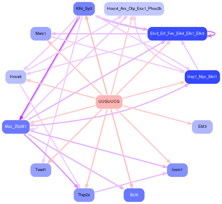 PNG image of the network