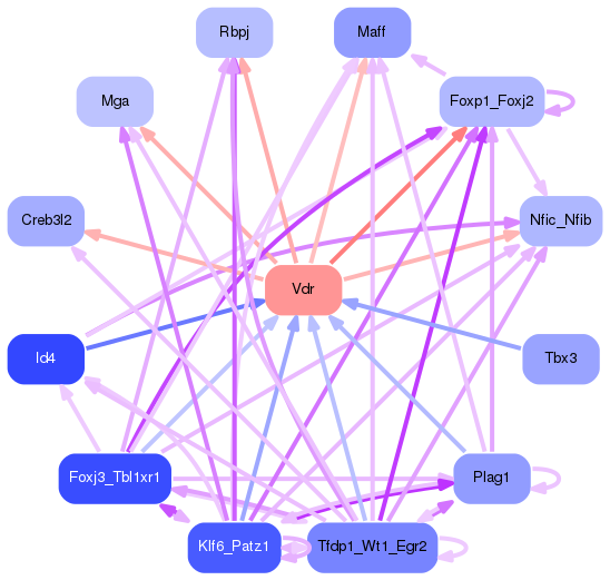 PNG image of the network
