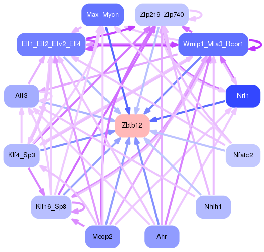 PNG image of the network