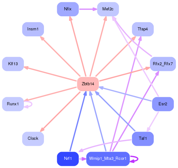 PNG image of the network