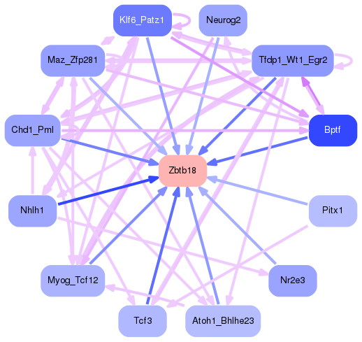 PNG image of the network