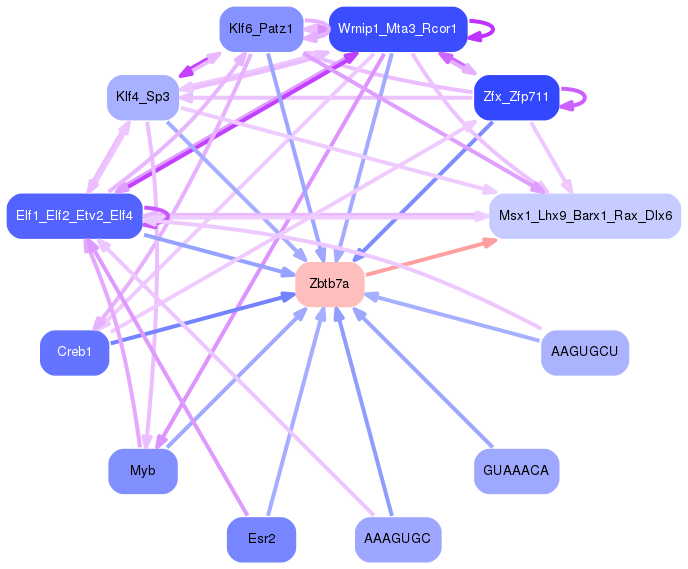 PNG image of the network