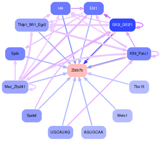 PNG image of the network