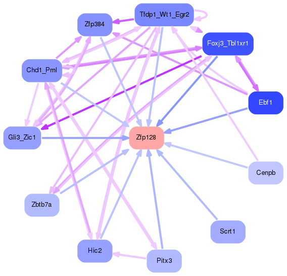 PNG image of the network