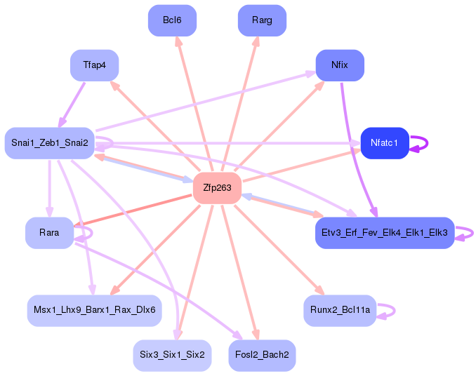 PNG image of the network
