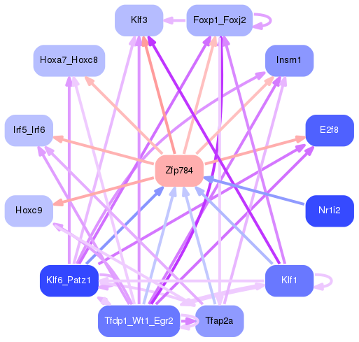 PNG image of the network