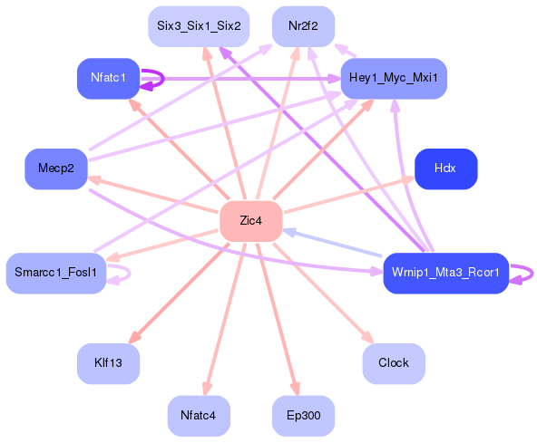 PNG image of the network