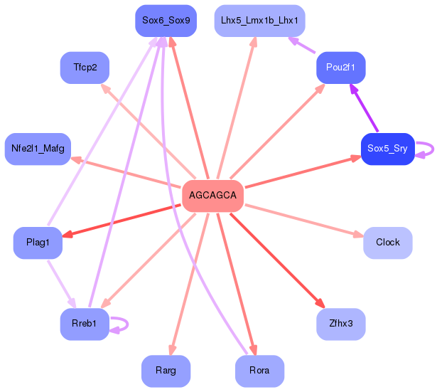 PNG image of the network