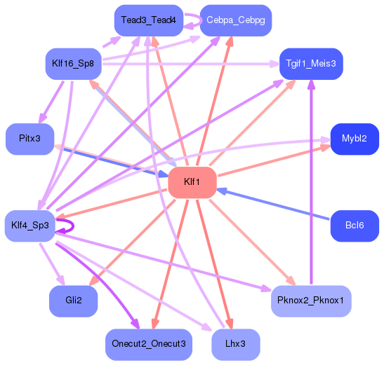 PNG image of the network