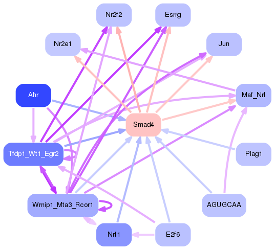 PNG image of the network