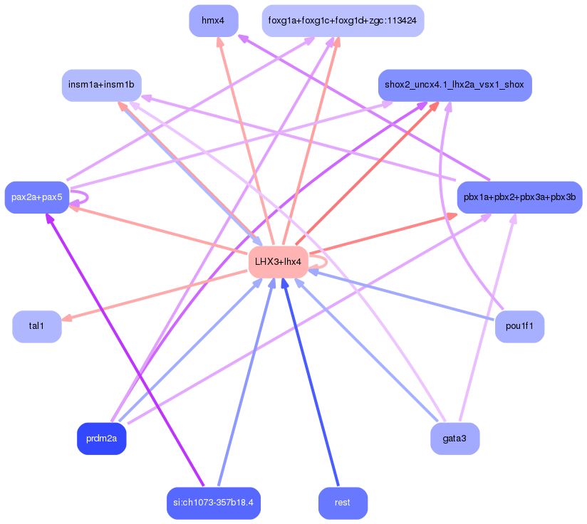 PNG image of the network