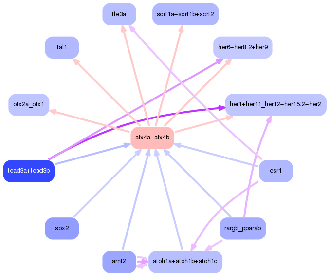 PNG image of the network