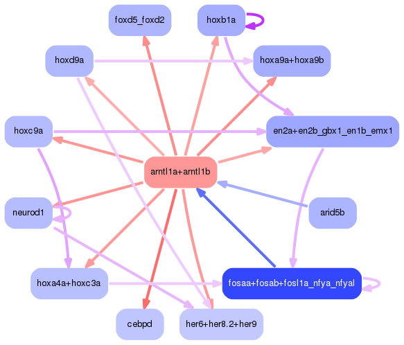 PNG image of the network