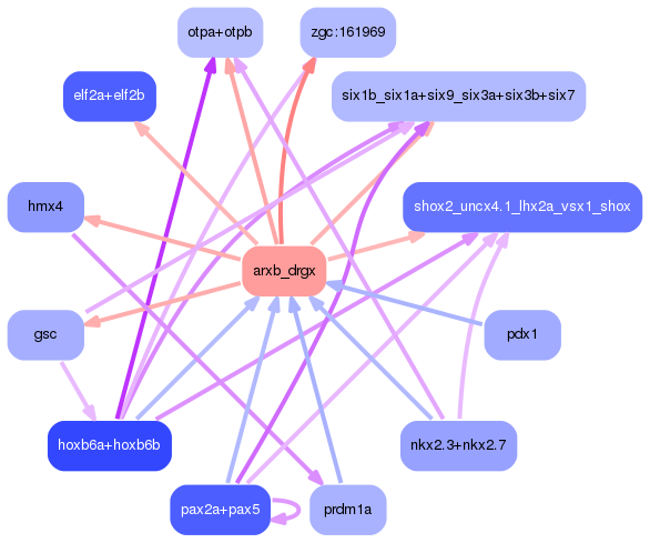 PNG image of the network