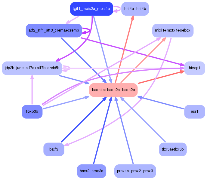 PNG image of the network