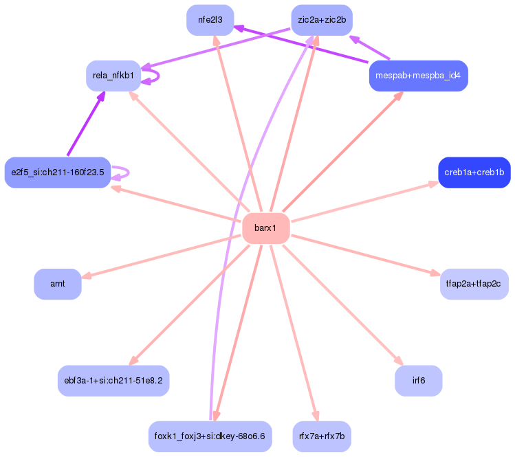 PNG image of the network