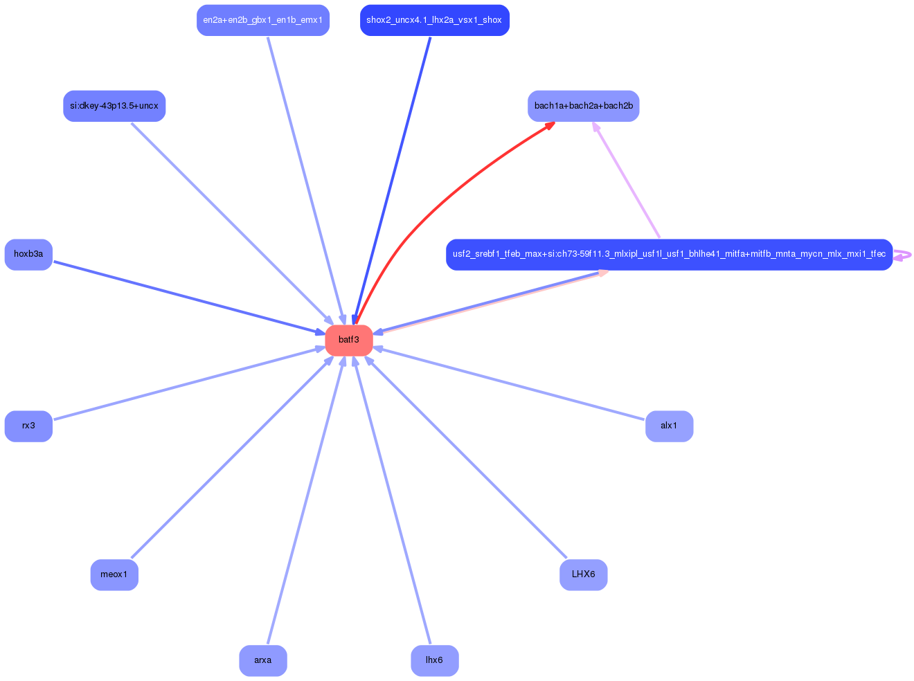 PNG image of the network