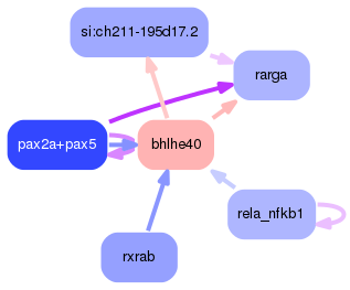 PNG image of the network