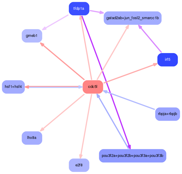 PNG image of the network