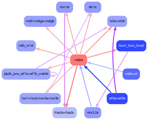 PNG image of the network
