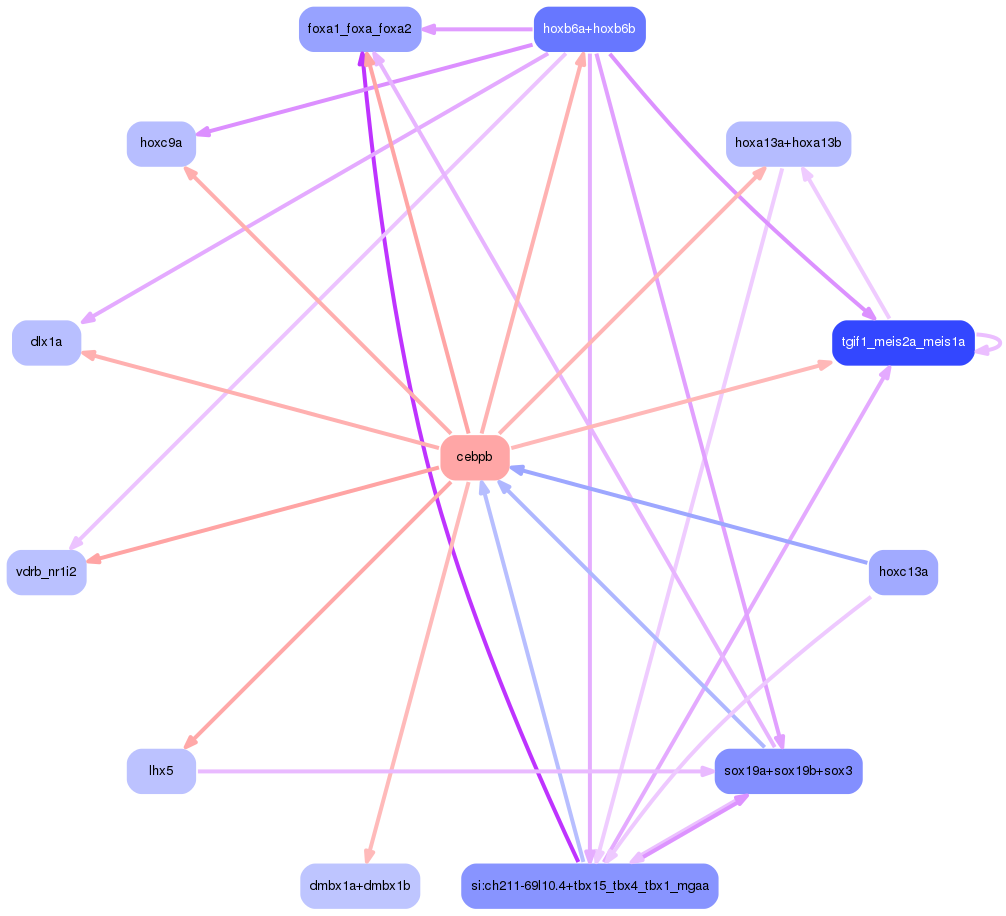 PNG image of the network
