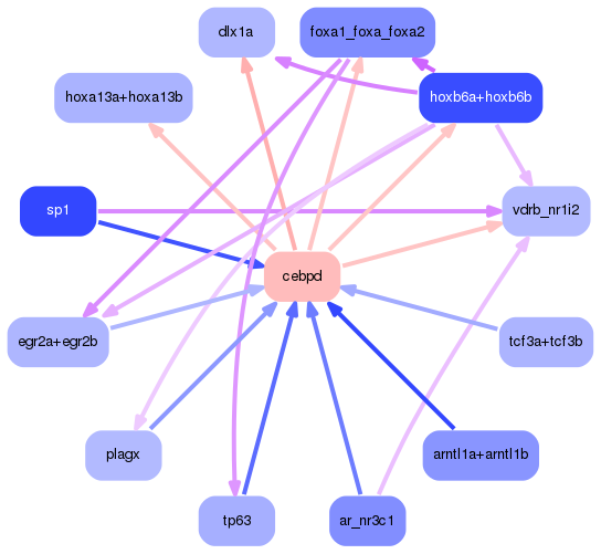 PNG image of the network