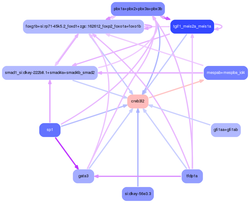 PNG image of the network