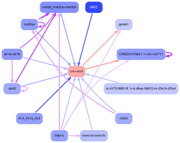 PNG image of the network