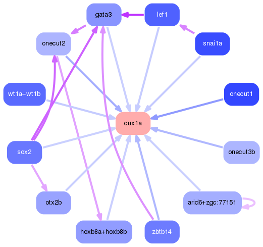 PNG image of the network