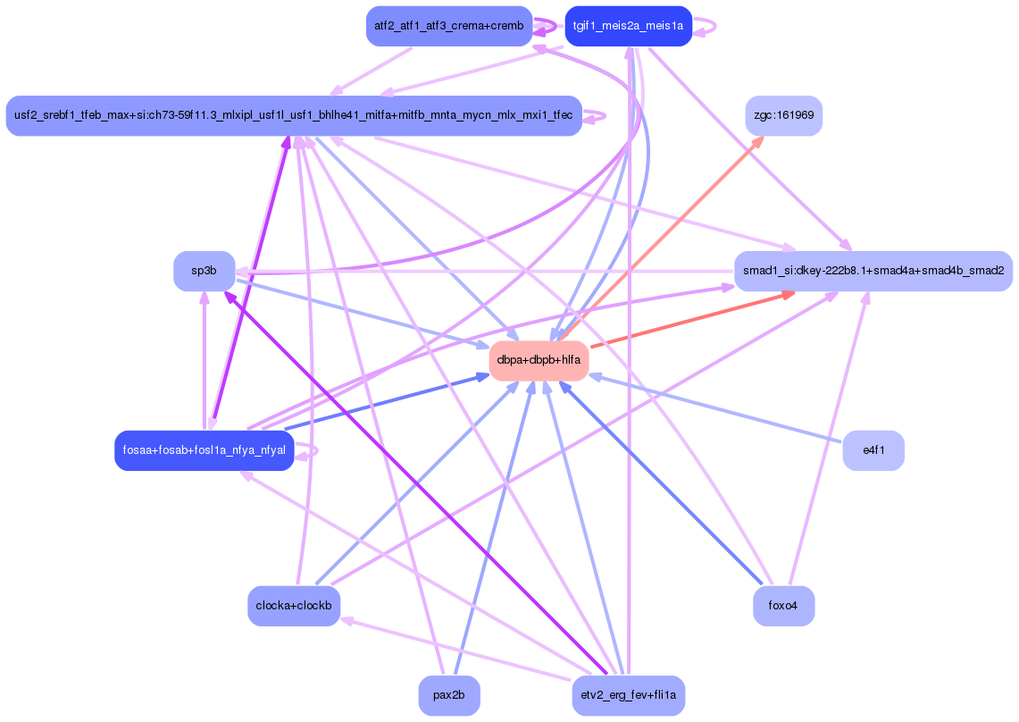 PNG image of the network