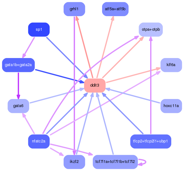 PNG image of the network