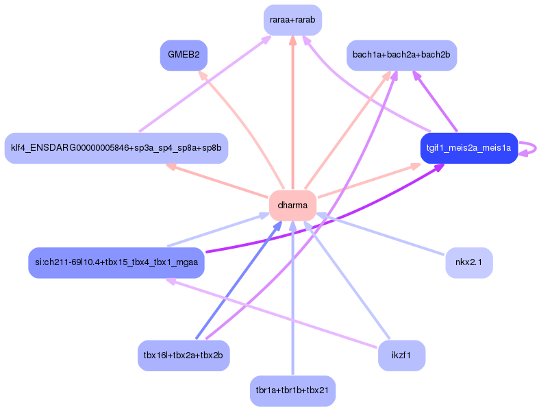 PNG image of the network