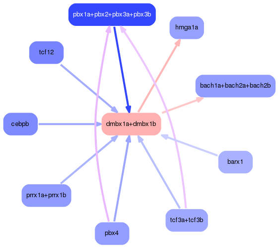 PNG image of the network