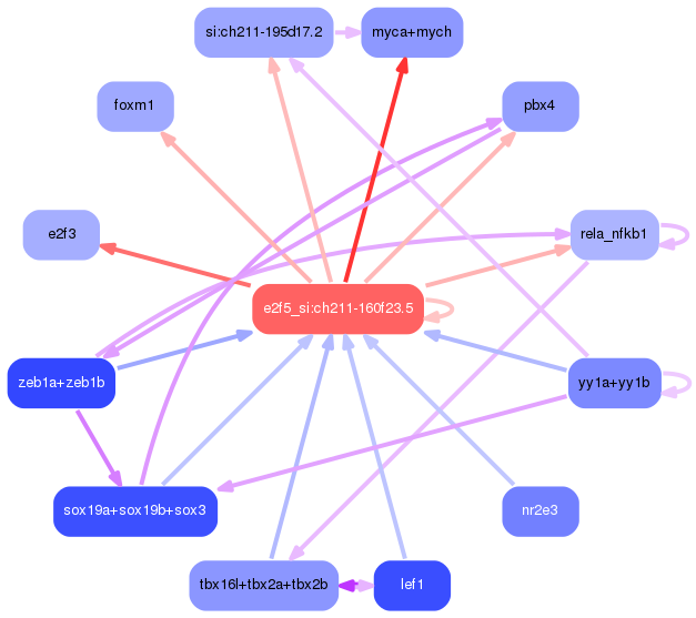 PNG image of the network