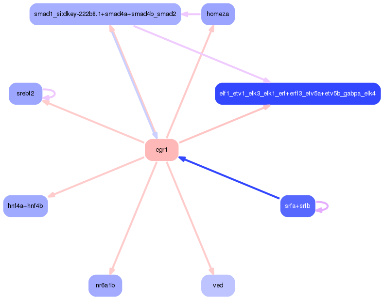 PNG image of the network
