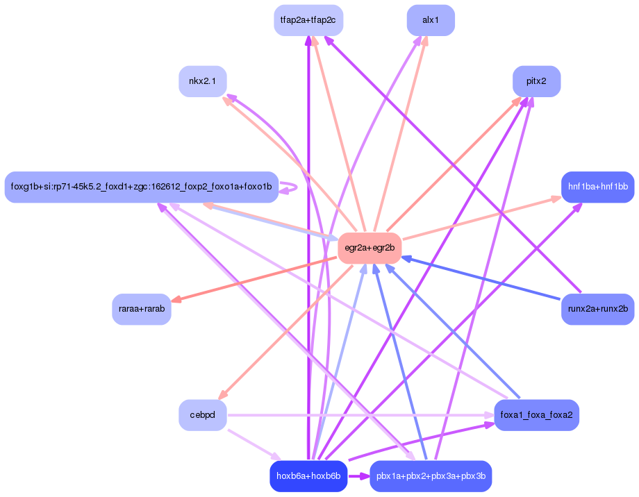 PNG image of the network