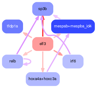 PNG image of the network