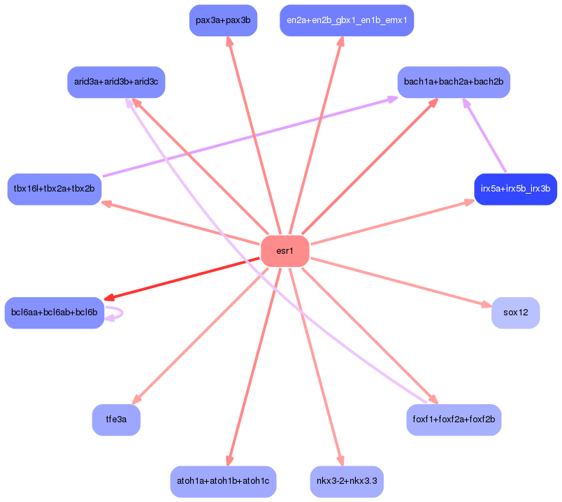PNG image of the network
