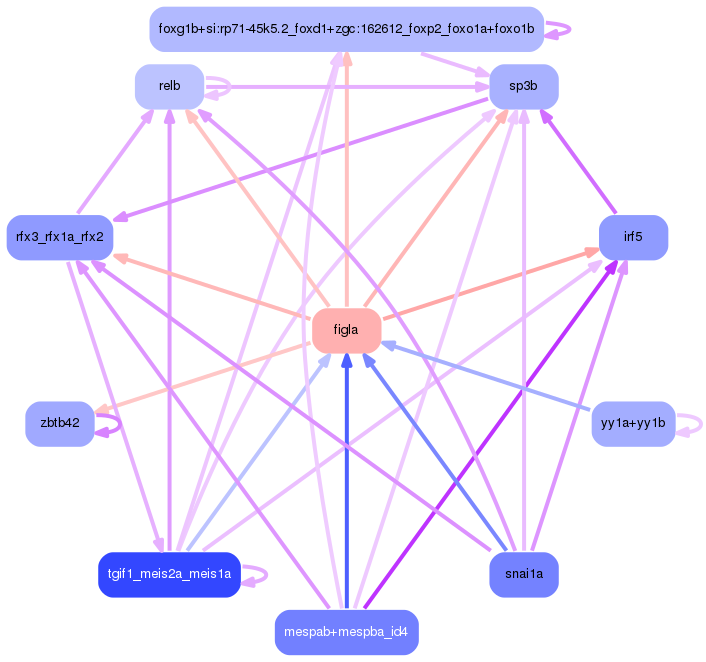 PNG image of the network