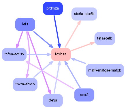 PNG image of the network