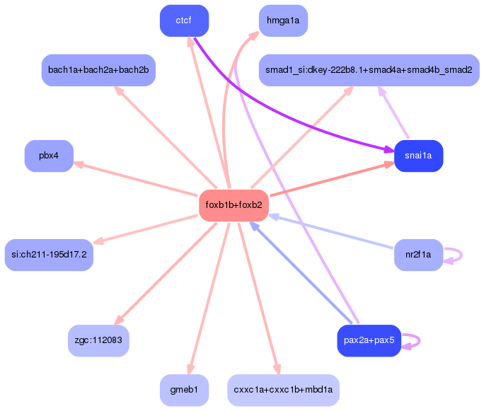 PNG image of the network