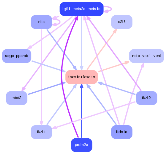 PNG image of the network